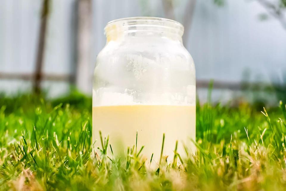 In Defense of Raw Milk